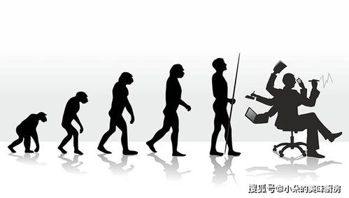 人类是如何进化到地球统治地位的 人类祖先的这两样东西才是利器