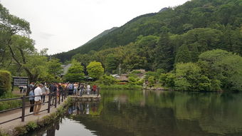  江西三日游的行程安排应该怎么安排？