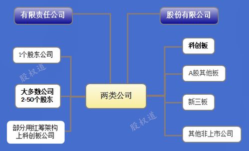 占股最少，不参与公司管理，可以做法定代表人吗？