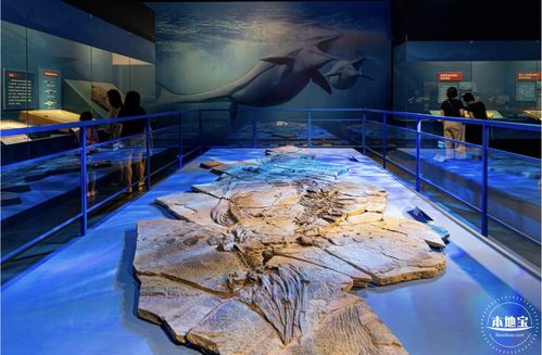 2022深圳博物馆向海之旅实拍图一览 