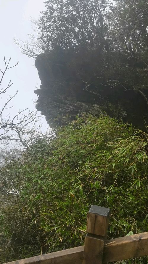 不到深山,不知道山的内涵 