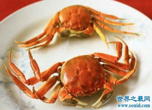 螃蟹和什么不能一起吃(螃蟹与什么相克不能吃)