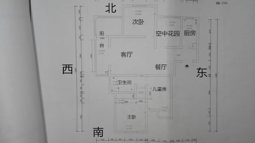 帮我看看五帝钱放在哪里合适 