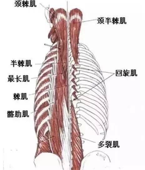 核心训练全攻略 跟着练,再也不用担心受伤