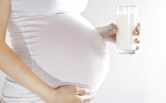 原创准妈妈孕期经常喝豆浆和喝牛奶的差别，这些常识你都知道吗？