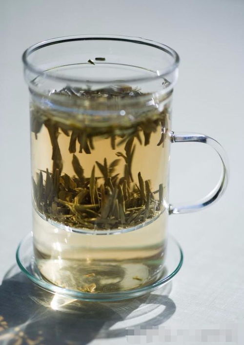 白茶水乳新款和老款的区别,老白茶和新白茶有哪些区别如何区分两种茶