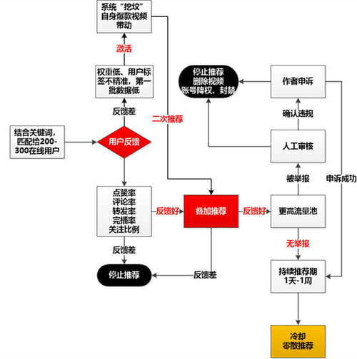 千人千色t9t9t9的推荐机制解析,轻松掌握定制化内容体验技巧