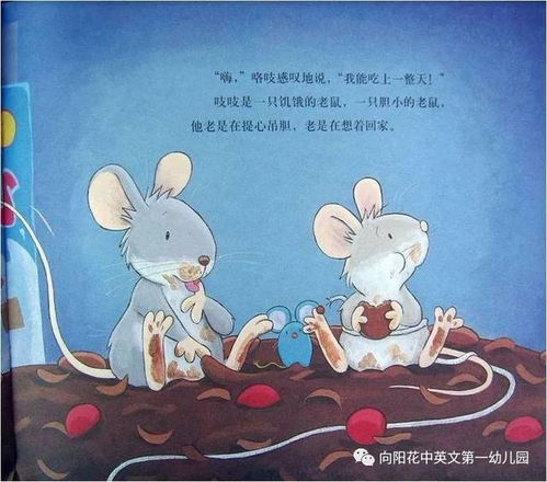 绘本故事欣赏 胆小的老鼠 