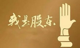 公司法里提到的“公司股东依法享有资产收益、参与重大决策和选择管理者等权利。”这里提到的重大包括什么