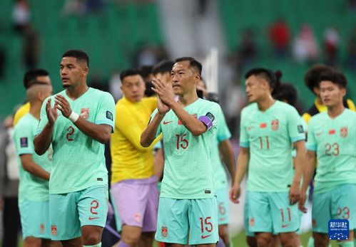 亚洲杯中国队小组赛,2004年亚洲杯A组小组赛中中国队与巴林队、印尼队、卡塔尔队的三组比赛成绩分别是2比2