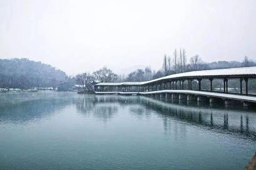 一场薄雪,勾勒出古风古韵大美中国