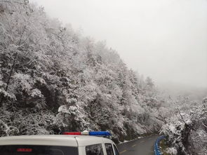 冷冷冷,安康多地下雪,开启 速冻模式