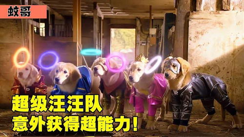 5只狗狗获得神奇圆环,拥有不同超能力,成为拯救世界的大英雄 