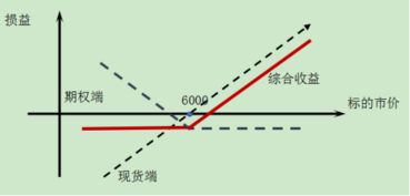 有关公司的问题：什么是期权？