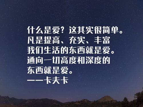 习惯性平庸名言（七个不算太暗的夜晚经典名言？）