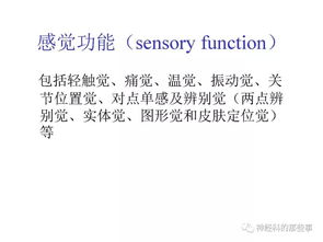 查重时引用的重要性及其影响