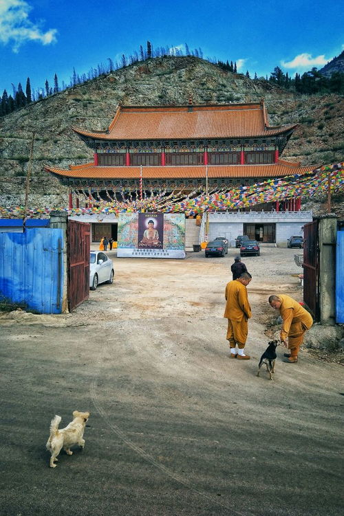 宣威东山寺 许你一世安暖