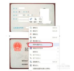 怎样制作证件照正反面电子档 快来看看