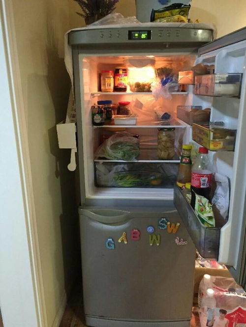 冰箱发热烫手是怎么回事怎么解决,冰箱发热烫手是怎么回事-第4张图片