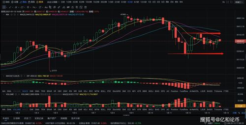  btt币会涨到1美元吗,2项目的背景和可能性。 快讯