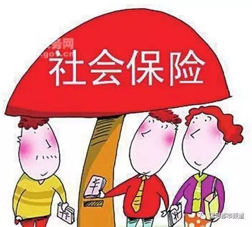 社会保险法运用什么法则,社会保险制度的社会保险制度的公平性