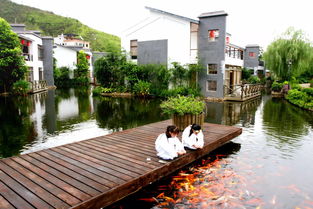 和平热龙温泉,广东河源景点热龙温泉度假村景点介绍-第4张图片