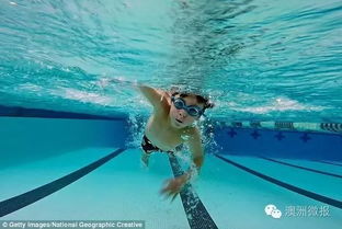 不游泳甭毕业 澳政府疯狂砸钱,强制所有孩子必须会游泳 