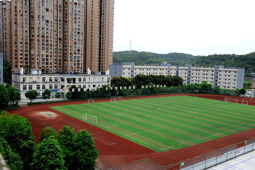 四川成都职高都有什么学校招生