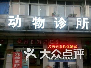 重庆两路宠物医院