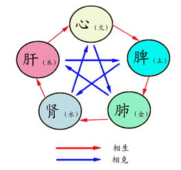 请问五行符怎么画呀 