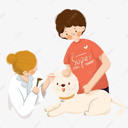 一个医生在给宠物小狗看病免抠图素材图片免费下载 千库网 