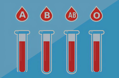ab型血型(ab型血是怎么来的？)