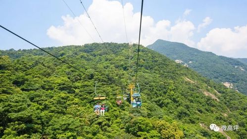 高坪直飞 赏花观鸟泡温泉,走,这些地方过暖冬去