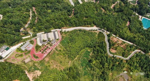 唐寨山森林公园：天然氧吧，休闲养生的秘境