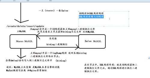 mysql一主一从支持多少人使用(数据库单用户模式如何改为多用户)