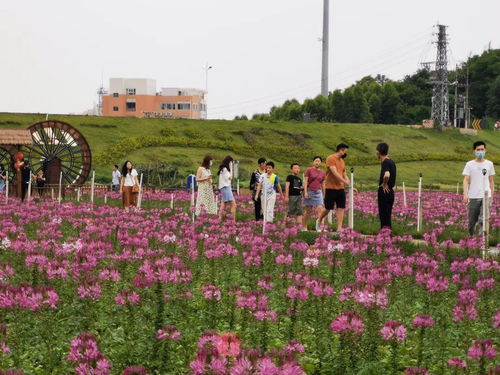 五一两日游适合去哪里