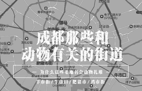 大庆市哪里有牛市 马市？要具体地址