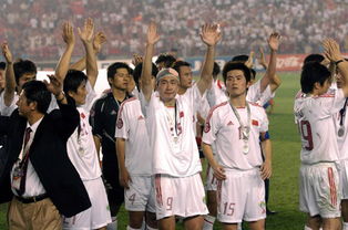 2004中国亚洲杯回顾,2004年亚洲杯中国对战伊朗