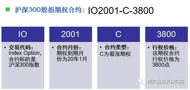 我看到说香港的股指期货合约有九个，知不知道是哪九个呀请问？开外盘以后都可以交易吗，还是仅可以交易恒