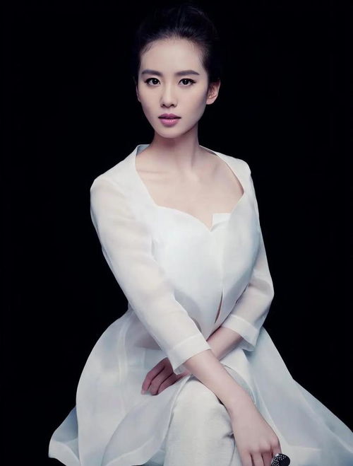 日本公认中国最美的明星,高圆圆高圆圆是以甜美的笑容和优雅的气质著称的中国女演员
