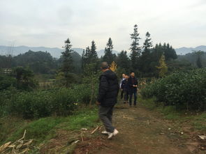 风水培训走进四川,风水大师王君植风水揭秘杨氏七十二官贵,祖坟风水有何玄妙