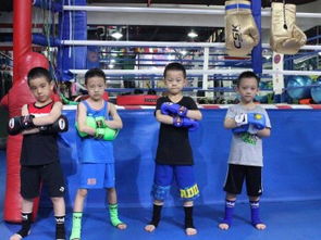 你是否支持自己的孩子学习搏击格斗类培训学习格斗是不是挺危险的