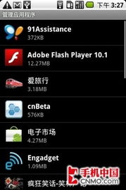 flashplayer10.1