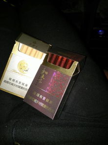 紫赢天下要多少钱玩