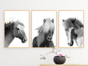 北欧现代黑白艺术骏马客厅三联装饰画图片下载psd素材 动物 