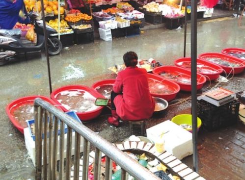 菜市场卖鱼的怎么样才能吸引顾客 
