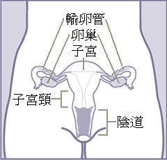 女人身体对运势的影响(女人运势好有哪些表现)