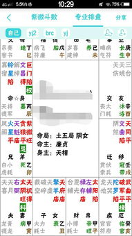 阴女土五局命主廉贞身主天相 大体怎么样 从事业和夫妻方面分析 