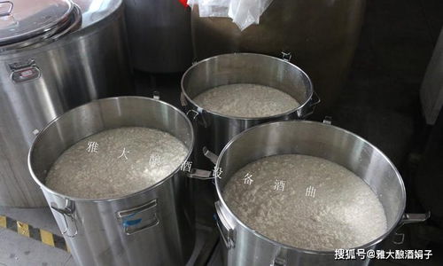 大米半固态发酵糖化后加水多了酒糟5度能蒸流吗