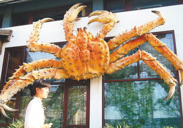 巨型螃蟹雕塑亮相苏州 吸引路人驻足拍照 图